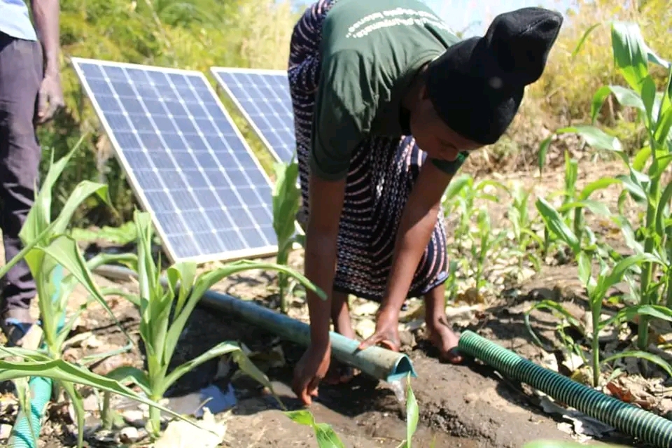 Sustainable Agriculture Farming